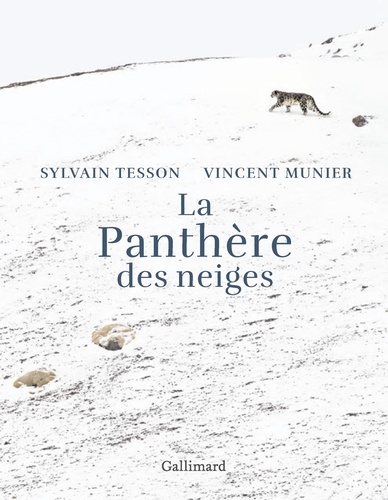 LA PANTHERE DES NEIGES [Sylvain Tesson/Album Gallimard]