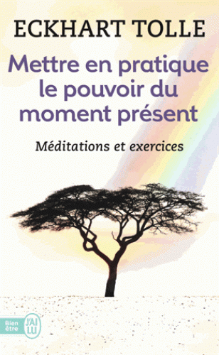 METTRE EN PRATIQUE LE POUVOIR DU MOMENT PRESENT [Eckhart Tolle/J'ai Lu]