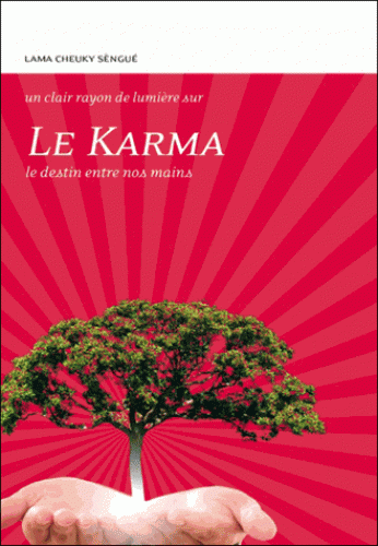 LE KARMA. Le destin entre nos mains [Lama Cheuky Sèngué/Claire Lumière]