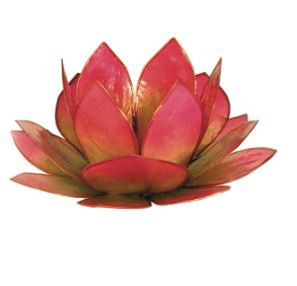 Photophore Lotus / Vert-Rose