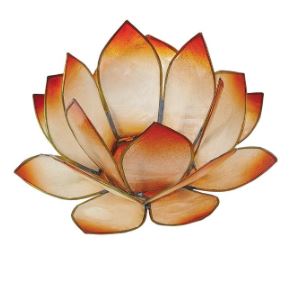 Photophore Lotus / Mandarine