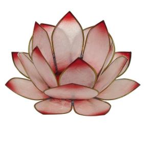 Photophore Lotus / Rosé