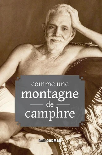 COMME UNE MONTAGNE DE CAMPHRE. Ramana Maharshi et Annamalai Swami [David Godman / Nataraj / Discovery]