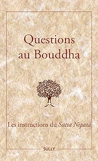 QUESTIONS AU BOUDDHA  [Jeanne Schut / Sully]
