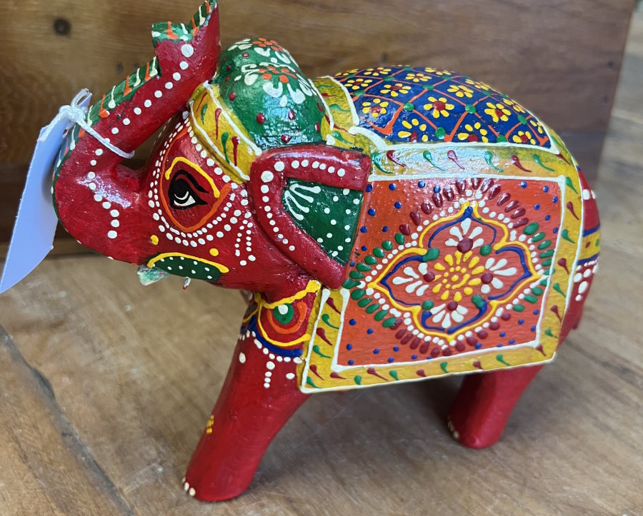 elephant bois Rajasthan 14
