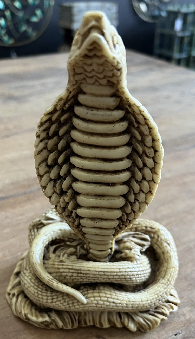 Cobra royal 22cm